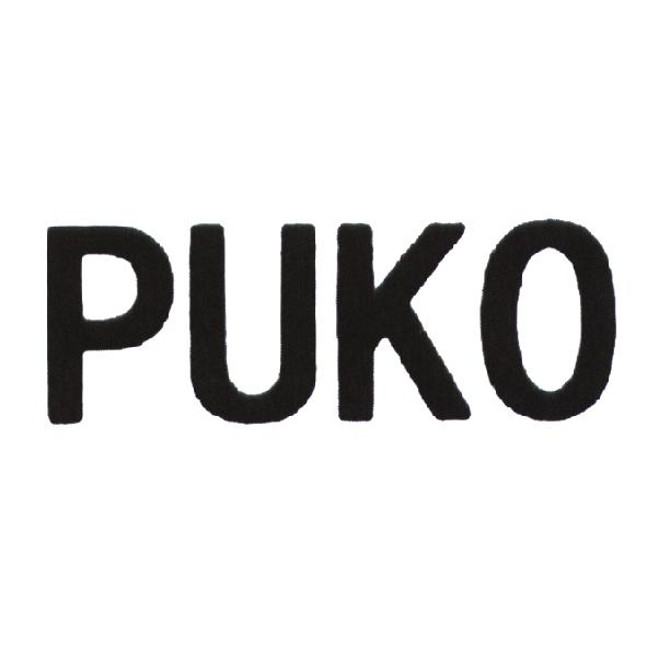 浙江喬登智能科技有限公司 PUKO