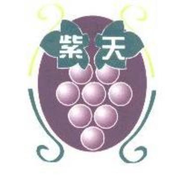 紫天及圖
