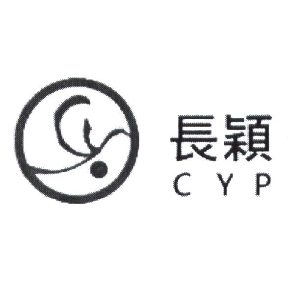 長穎 CYP 設計圖