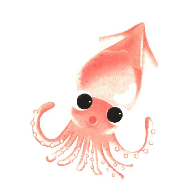 魷魚－小 Q 圖