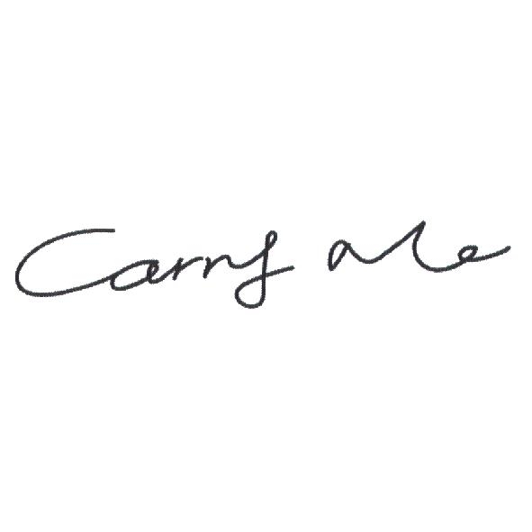 Carry Me 設計體