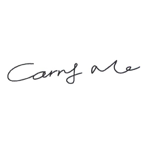 Carry Me 設計體