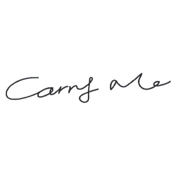 Carry Me 設計體