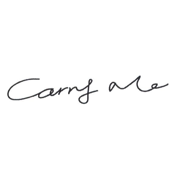 Carry Me 設計體