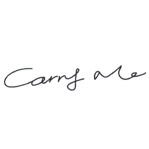 Carry Me 設計體