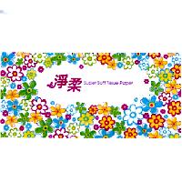 淨柔及圖