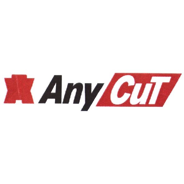 Any CuT 及圖