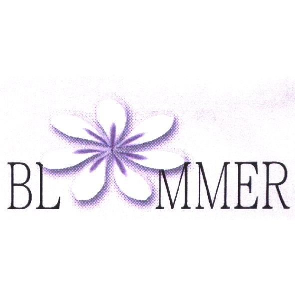BLMMER
