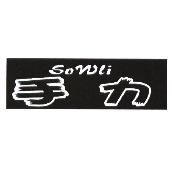 手力 sowli