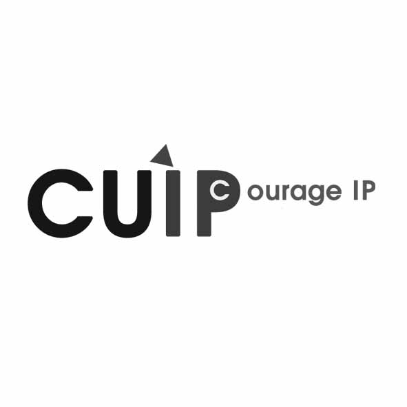 CUIP courage IP設計圖