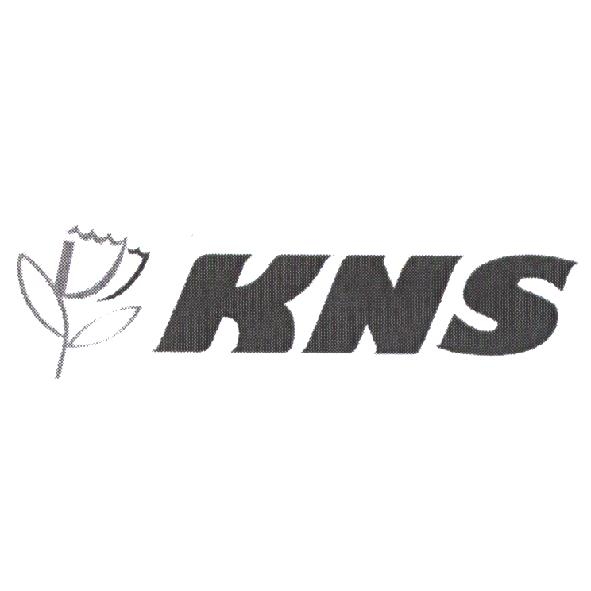 KNS 及圖