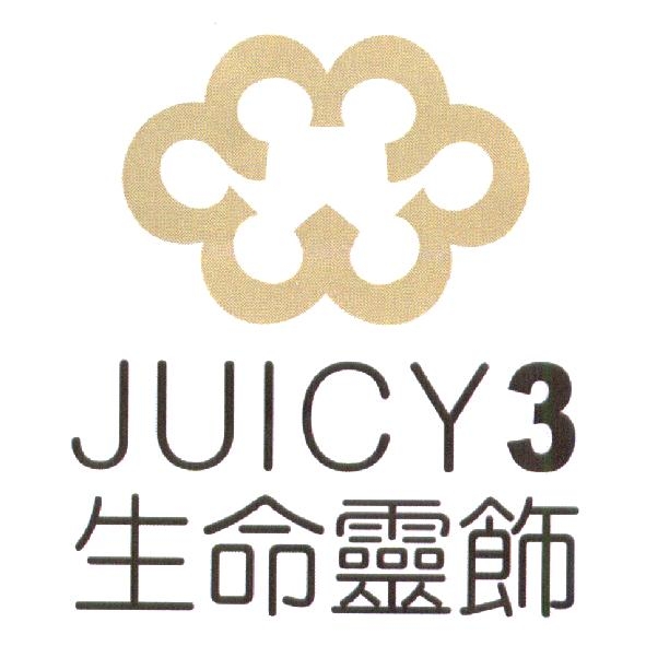 生命靈飾