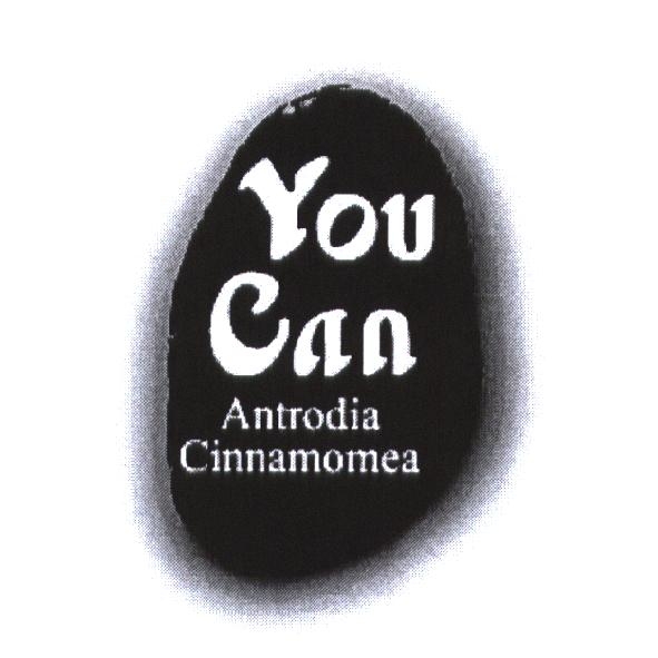 You Can 及圖
