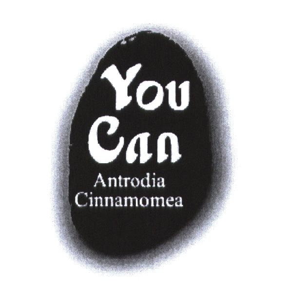 You Can 及圖