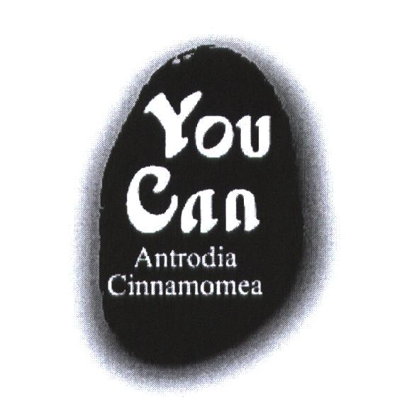 You Can 及圖
