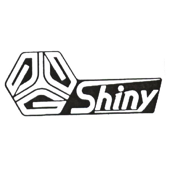Shiny 及圖