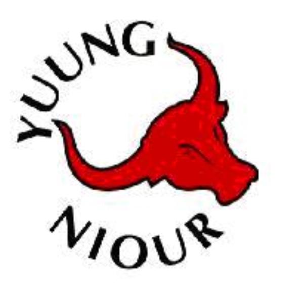YUUNG NIOUR及圖