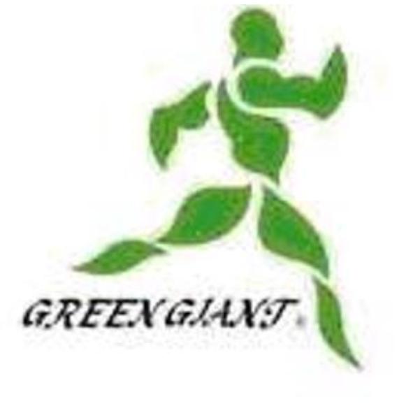 GREEN GIANT及圖