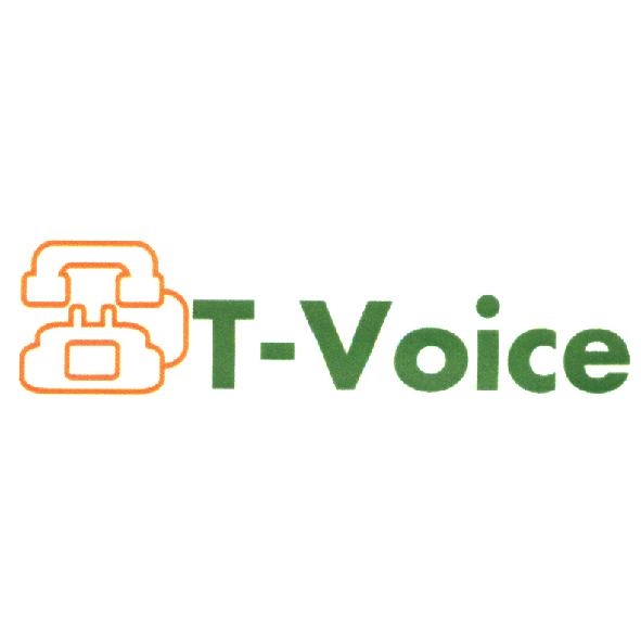 T-Voice 及圖（彩色）