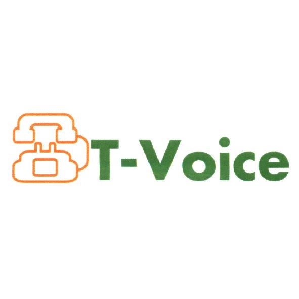 T-Voice 及圖（彩色）