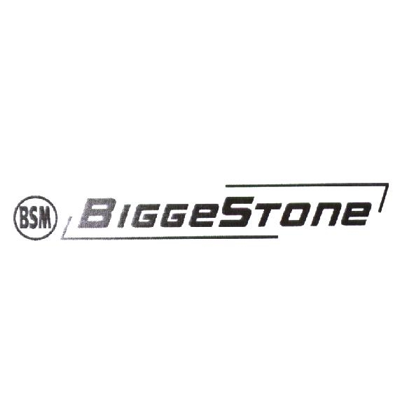 BSM BIGGeSTone 設計圖
