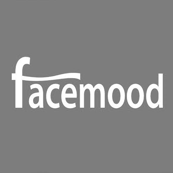 facemood設計圖