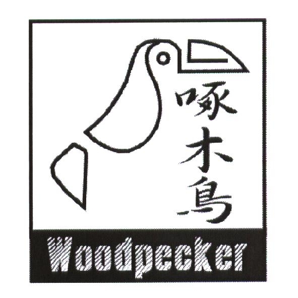 啄木鳥 Woodpecker 及圖