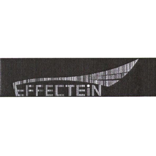 EFFECTEIN 及圖