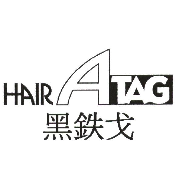 HAIR ATAG 黑鐵戈（簡體字）