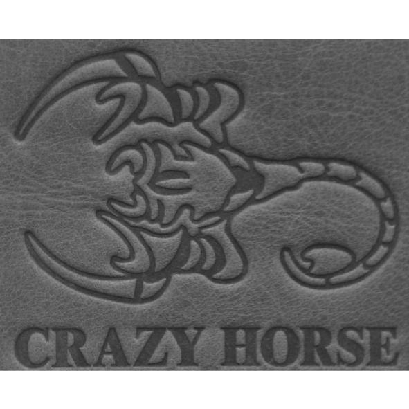CRAZY HORSE蠍子圖