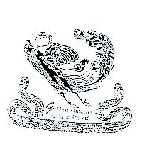 GOLDEN PHOENIX & PINK SNAKE 及圖
