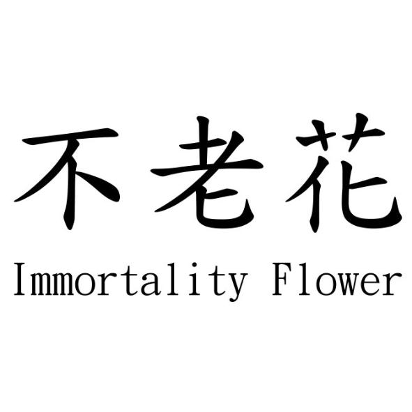 不老花Immortality Flower