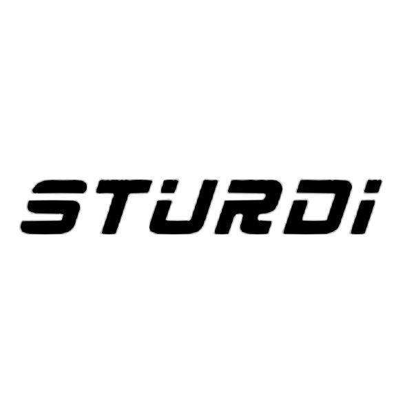 STURDI