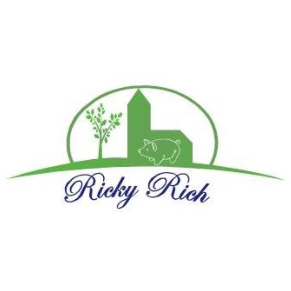 Ricky Rich及圖