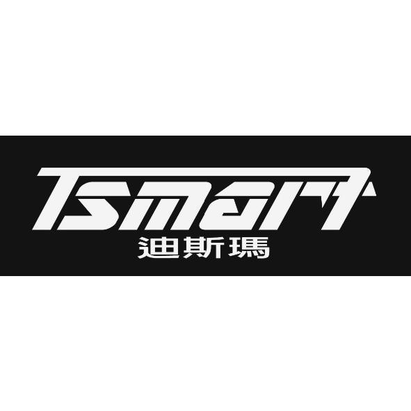 TSMART 迪斯瑪設計