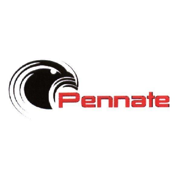 Pennate 及圖