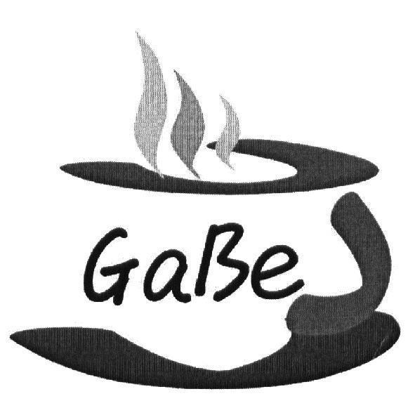 欣光威科技有限公司 GaBe 及圖