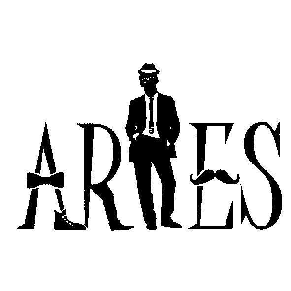 ARIES 設計圖