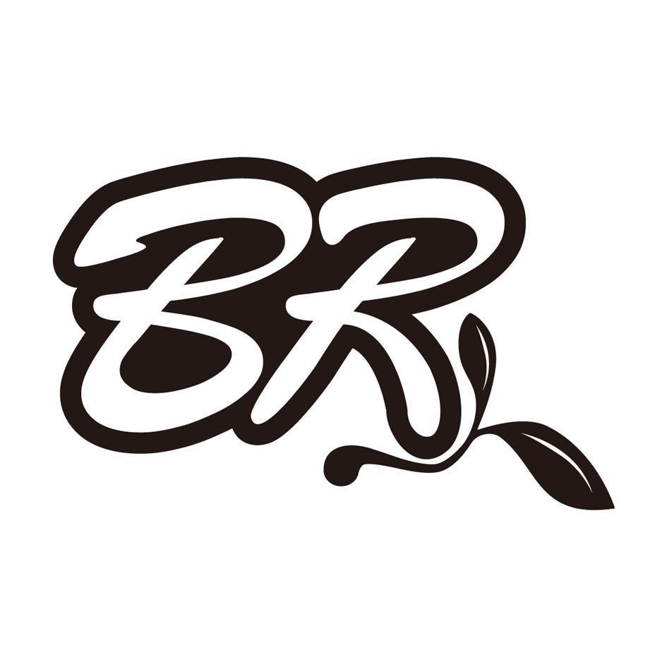 BR及圖