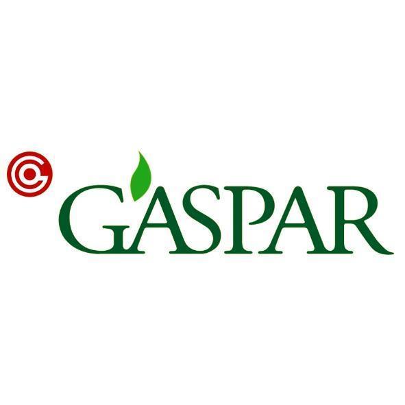 GASPAR及圖(彩)
