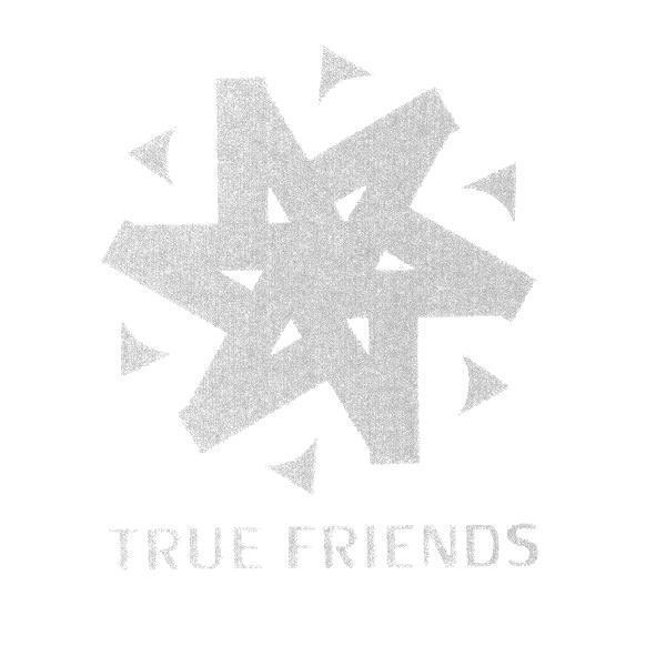 設計圖及 TRUE FRIENDS