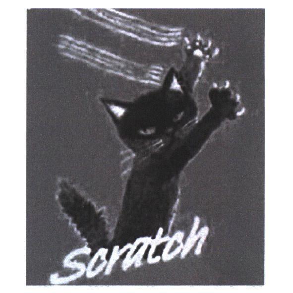 Scratch及圖