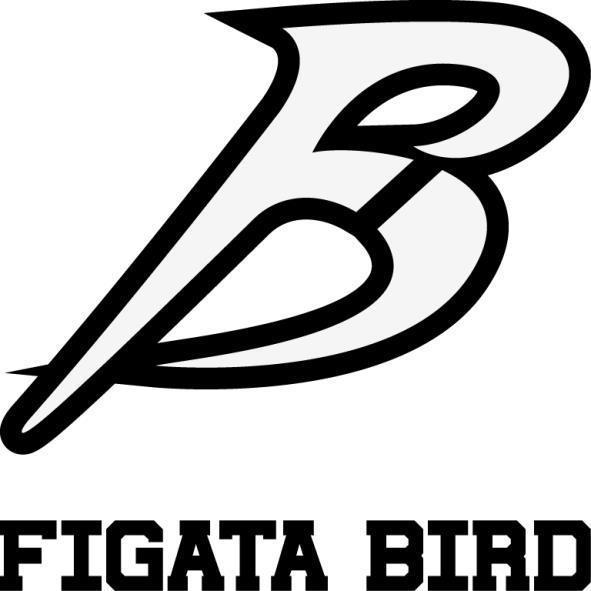 FIGATA BIRD及圖
