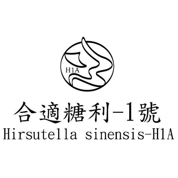 合適糖利-1號及圖Hirsutella sinensis-H1A