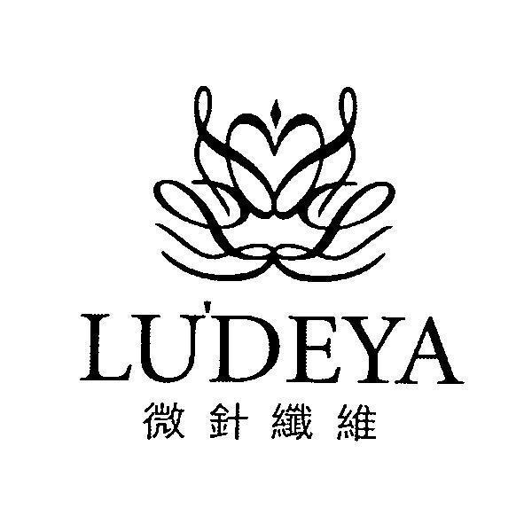 軒郁國際股份有限公司 LUDEYA 微針纖維及圖