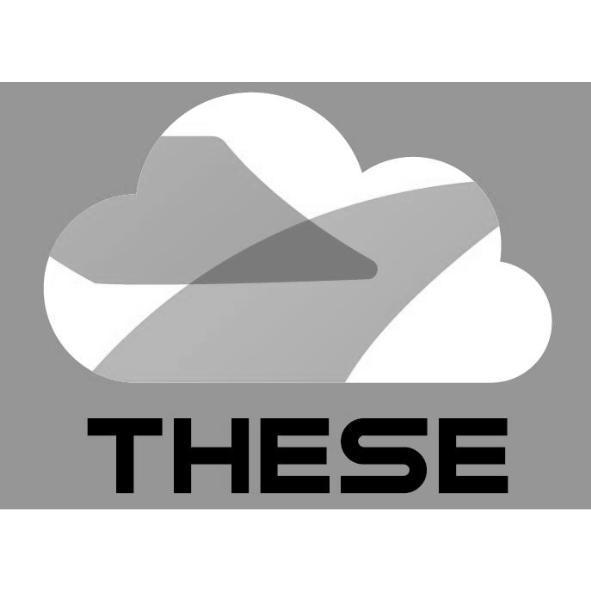 THESE及圖