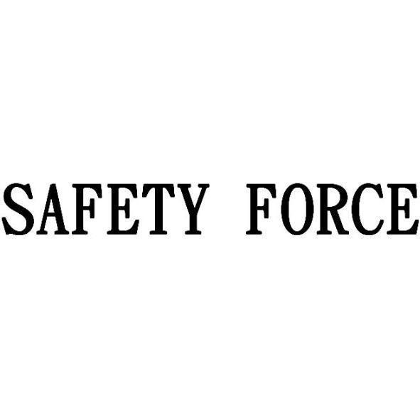 SAFETY FORCE