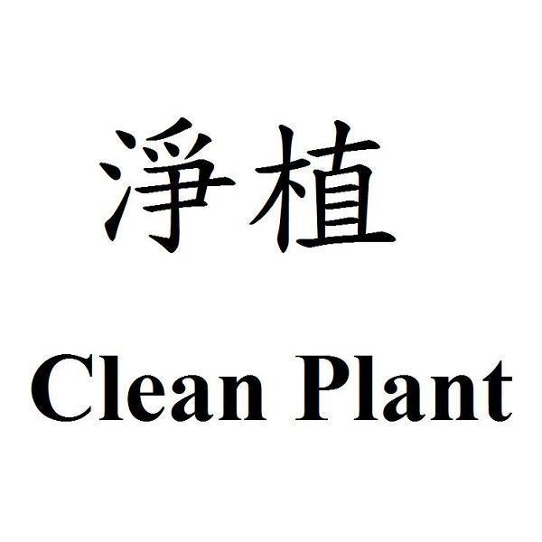 李佩芳 淨植Clean Plant