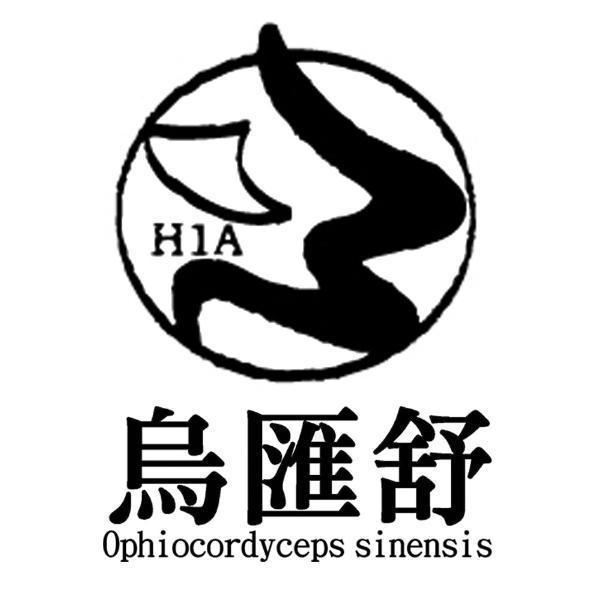 烏匯舒Ophiocordyceps sinensis H1A及圖