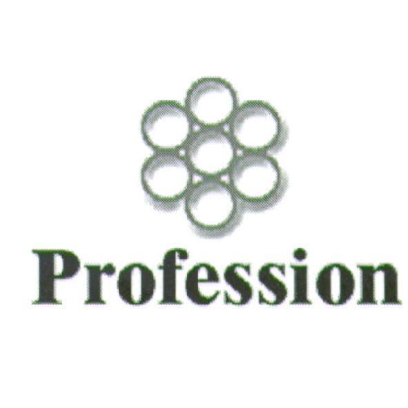 Profession 及圖